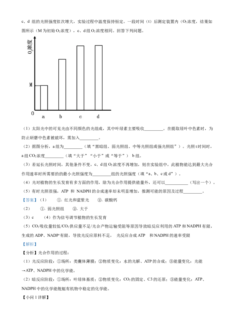湖北省武汉外国语学校2023-2024学年高二下学期期末考试生物试卷Word版含解析_2024-2025高三（6-6月题库）_2024年07月试卷_240717湖北省武汉外国语学校2023-2024学年高二下学期期末考试