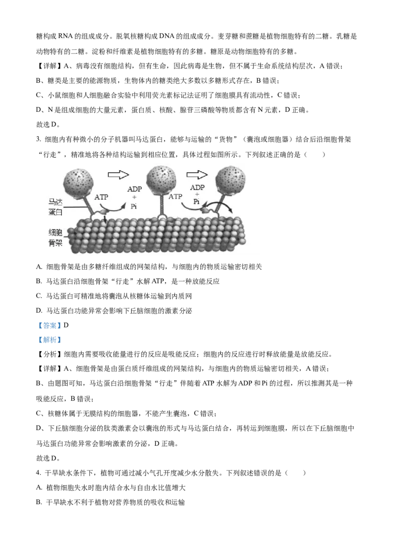湖北省武汉外国语学校2023-2024学年高二下学期期末考试生物试卷Word版含解析_2024-2025高三（6-6月题库）_2024年07月试卷_240717湖北省武汉外国语学校2023-2024学年高二下学期期末考试