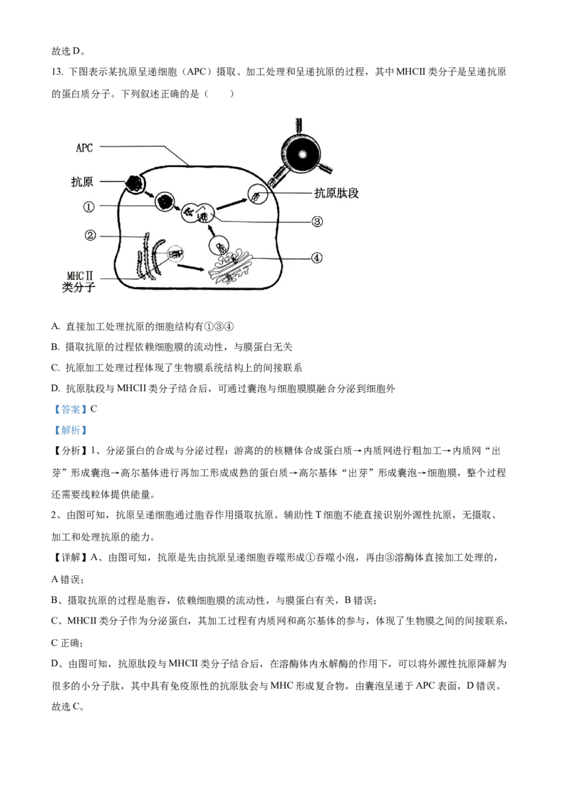 湖北省武汉外国语学校2023-2024学年高二下学期期末考试生物试卷Word版含解析_2024-2025高三（6-6月题库）_2024年07月试卷_240717湖北省武汉外国语学校2023-2024学年高二下学期期末考试