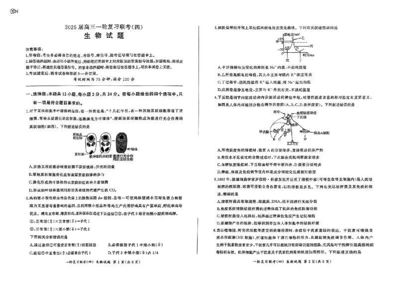 生物_2024-2025高三（6-6月题库）_2024年12月试卷_1227百师联盟2025届高三一轮复习联考（四）