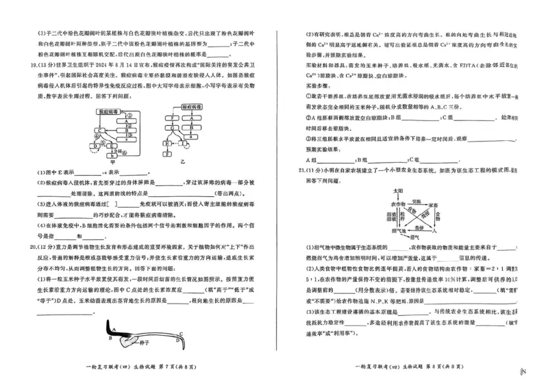 生物_2024-2025高三（6-6月题库）_2024年12月试卷_1227百师联盟2025届高三一轮复习联考（四）