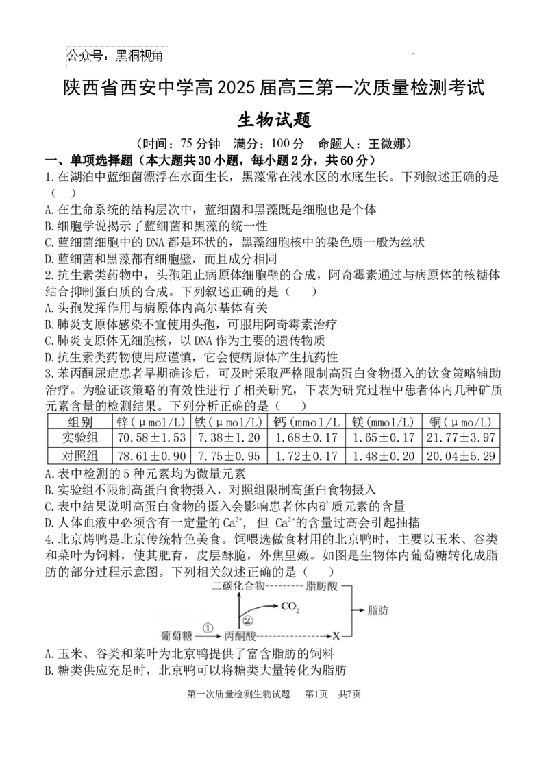 高2025届高三第一次质量检测-生物试题_2024-2025高三（6-6月题库）_2024年10月试卷_1007陕西省西安中学2024-2025学年高三上学期第一次质量检测_生物