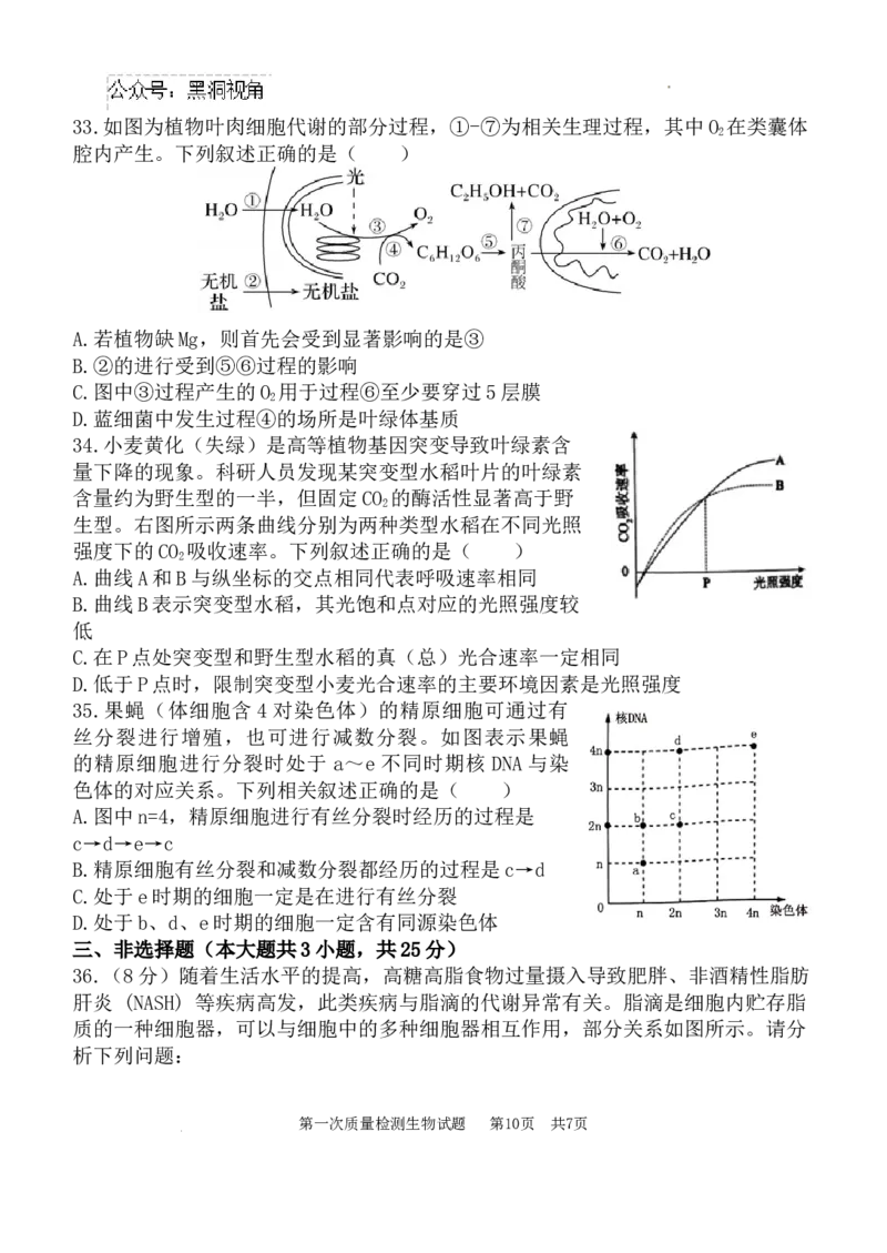 高2025届高三第一次质量检测-生物试题_2024-2025高三（6-6月题库）_2024年10月试卷_1007陕西省西安中学2024-2025学年高三上学期第一次质量检测_生物