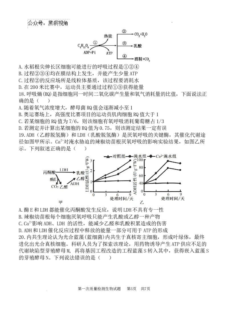 高2025届高三第一次质量检测-生物试题_2024-2025高三（6-6月题库）_2024年10月试卷_1007陕西省西安中学2024-2025学年高三上学期第一次质量检测_生物