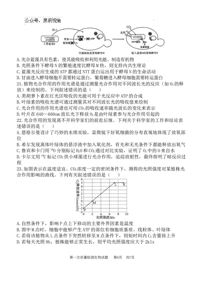 高2025届高三第一次质量检测-生物试题_2024-2025高三（6-6月题库）_2024年10月试卷_1007陕西省西安中学2024-2025学年高三上学期第一次质量检测_生物