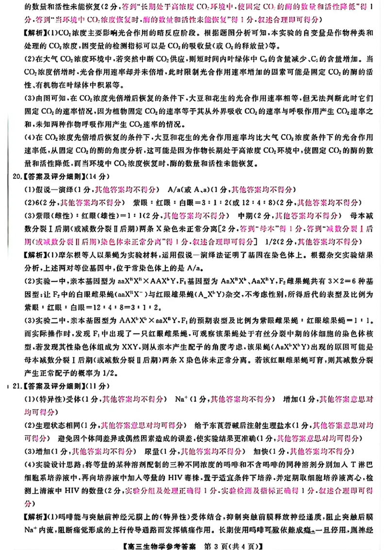 金科大联考&middot;2025届高三9月质量检测生物答案_2024-2025高三（6-6月题库）_2024年09月试卷_0930河北省金科大联考2025届高三9月质量检测_金科大联考&middot;2025届高三9月质量检测生物