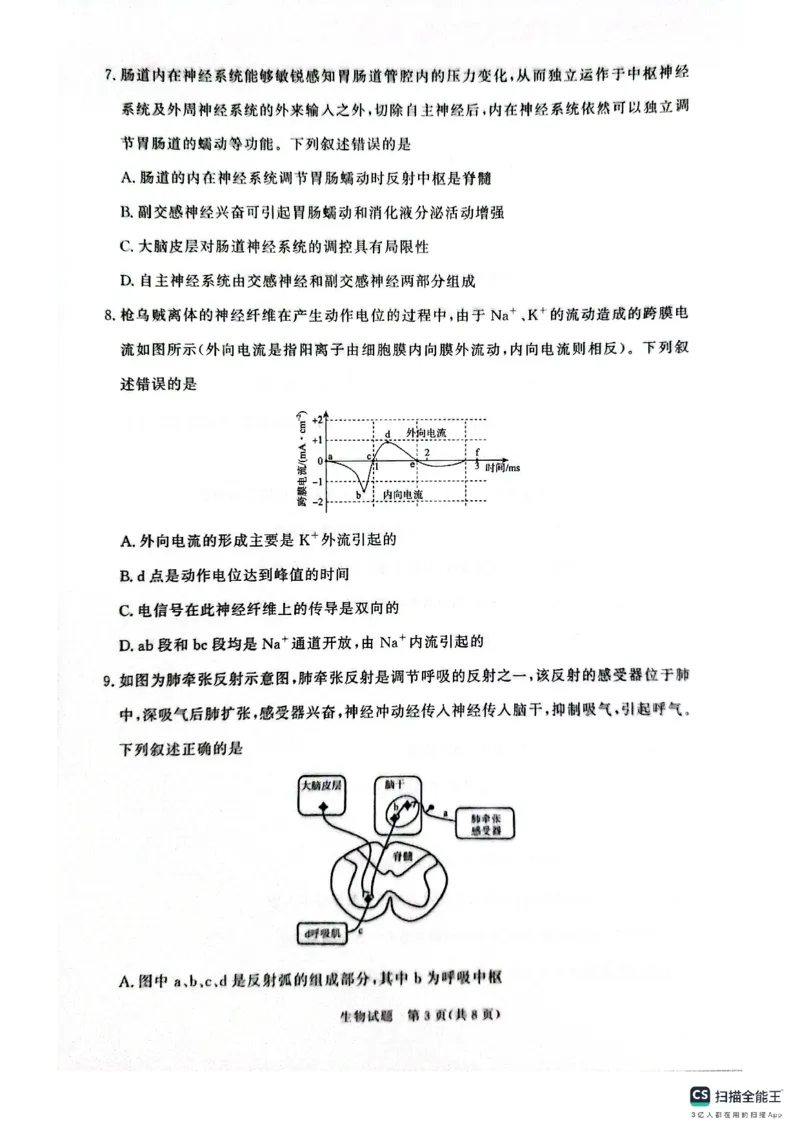 生物试卷-河南高二青桐鸣大联考2025年10月联考_2025年10月高二试卷_251026河南高二青桐鸣大联考2025年10月联考(全)
