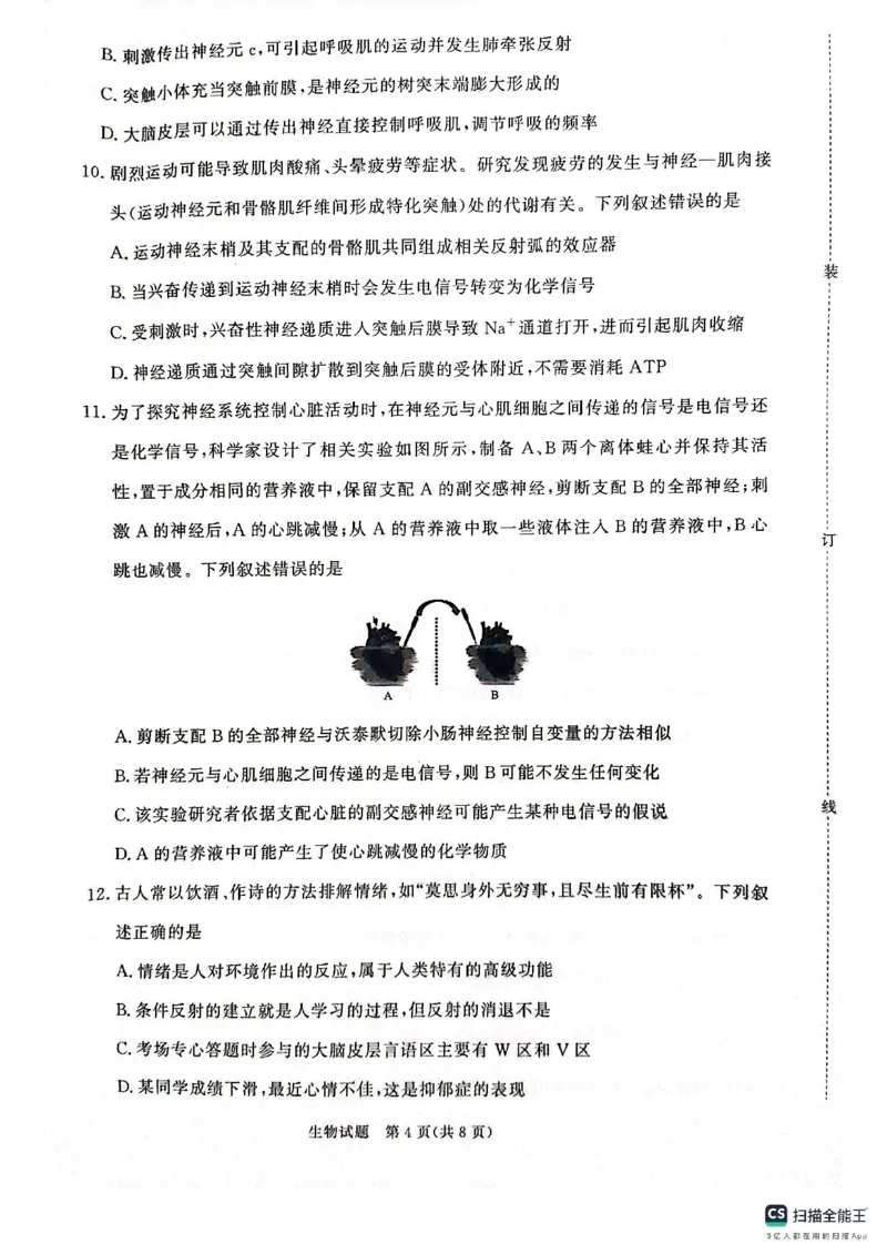 生物试卷-河南高二青桐鸣大联考2025年10月联考_2025年10月高二试卷_251026河南高二青桐鸣大联考2025年10月联考(全)
