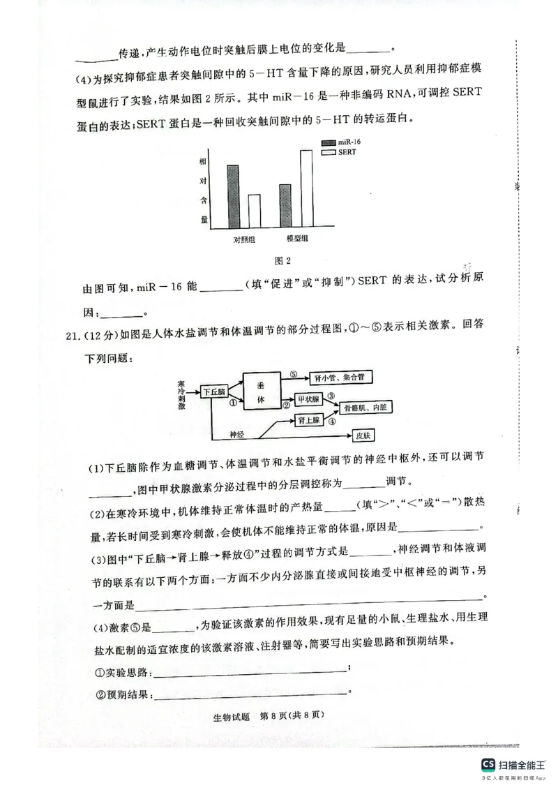 生物试卷-河南高二青桐鸣大联考2025年10月联考_2025年10月高二试卷_251026河南高二青桐鸣大联考2025年10月联考(全)