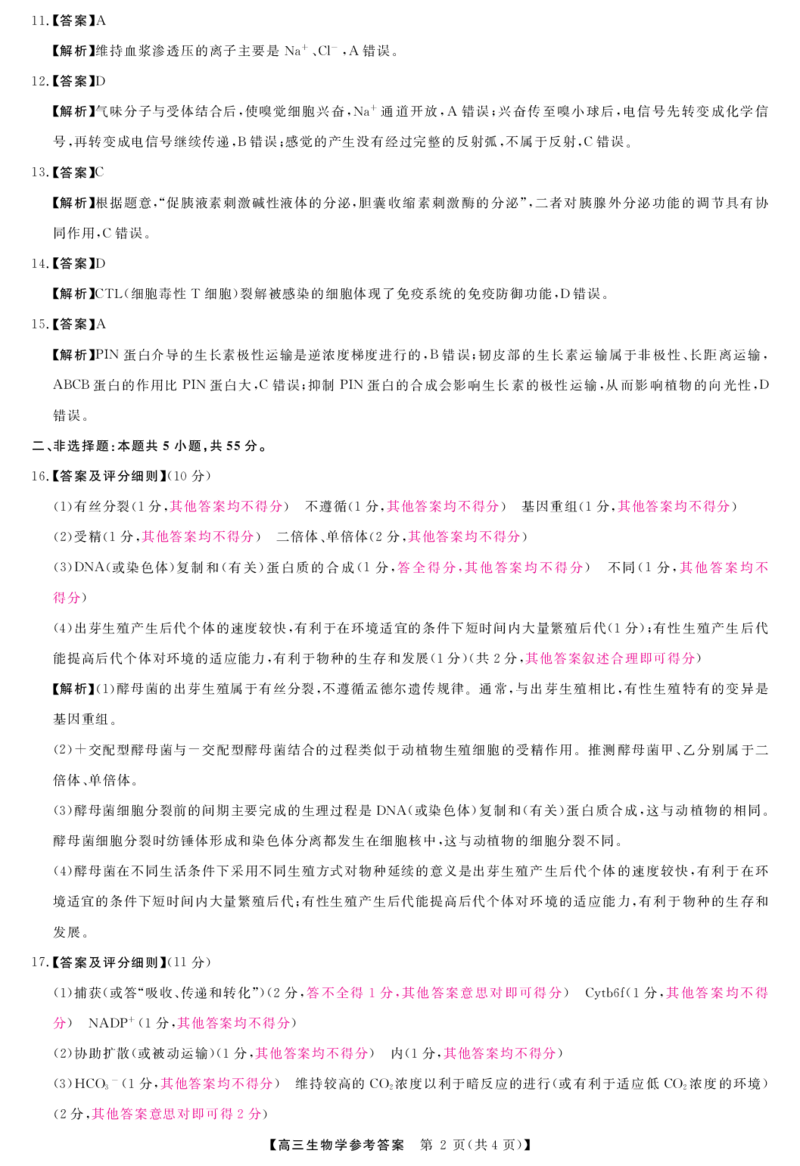生物答案_2024-2025高三（6-6月题库）_2024年12月试卷_1225河南省金科大联考2024-2025学年上学期高三12月联考_河南省名校联盟2024-2025学年上学期高三12联考生物试题