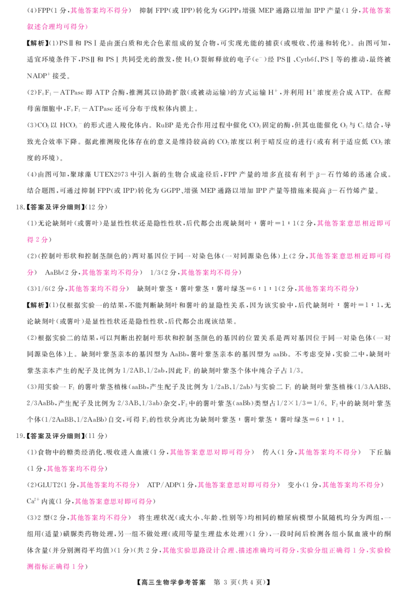 生物答案_2024-2025高三（6-6月题库）_2024年12月试卷_1225河南省金科大联考2024-2025学年上学期高三12月联考_河南省名校联盟2024-2025学年上学期高三12联考生物试题