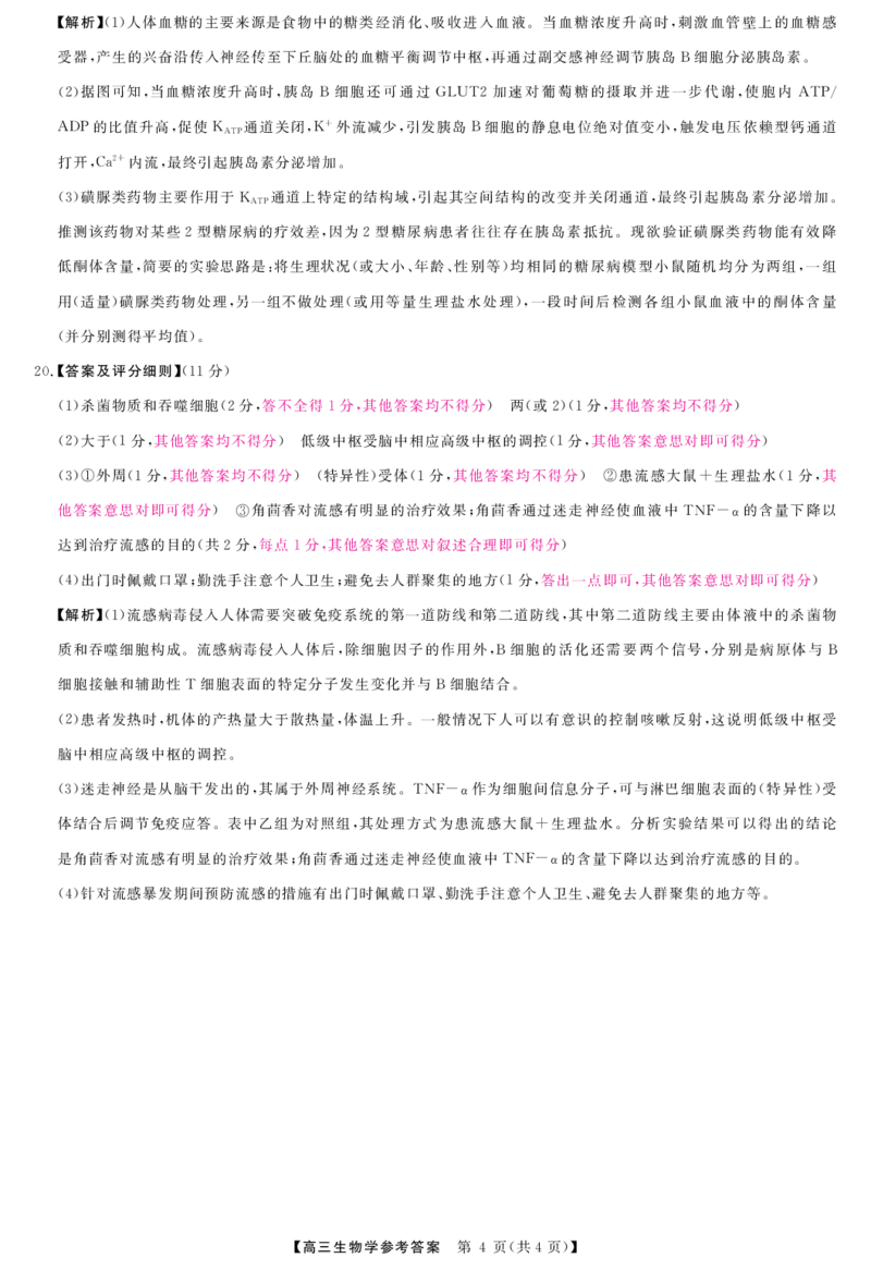 生物答案_2024-2025高三（6-6月题库）_2024年12月试卷_1225河南省金科大联考2024-2025学年上学期高三12月联考_河南省名校联盟2024-2025学年上学期高三12联考生物试题