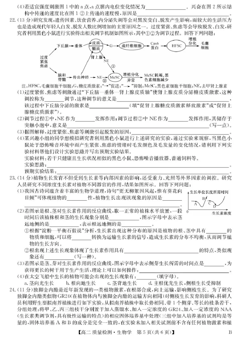 生物-高二质量检测（B）_2024-2025高二（7-7月题库）_2026年1月高二_260114甘肃省白银市靖远县第一中学2025-2026学年高二上学期12月月考