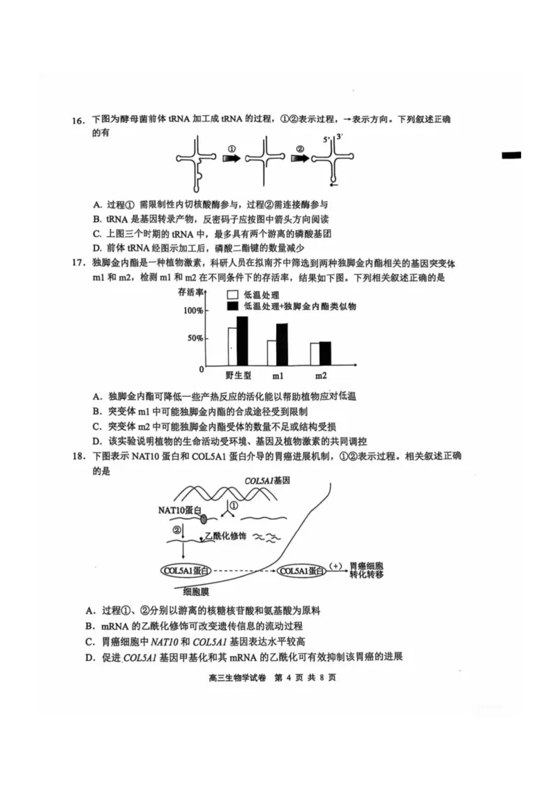 生物试卷2025届无锡高三期中统考_2024-2025高三（6-6月题库）_2024年11月试卷_1110江苏省无锡市2024-2025学年高三上学期期中教学质量调研测