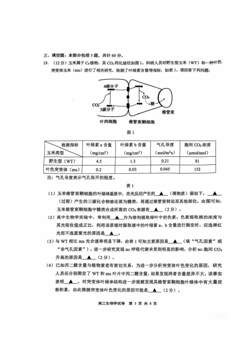 生物试卷2025届无锡高三期中统考_2024-2025高三（6-6月题库）_2024年11月试卷_1110江苏省无锡市2024-2025学年高三上学期期中教学质量调研测