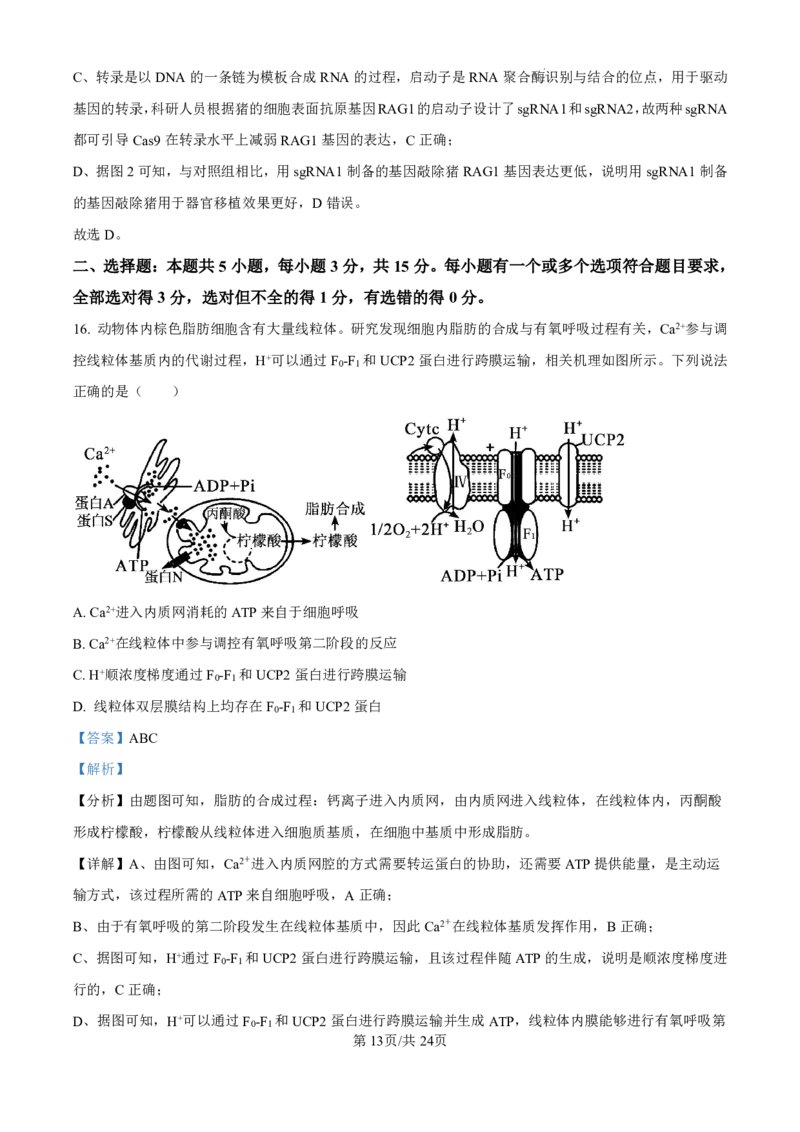 精品解析：山东省济南市第一中学2024-2025学年高三上学期10月月考生物试题（解析版）_2024-2025高三（6-6月题库）_2024年11月试卷_1101山东省济南市第一中学2024-2025学年高三上学期10月月考