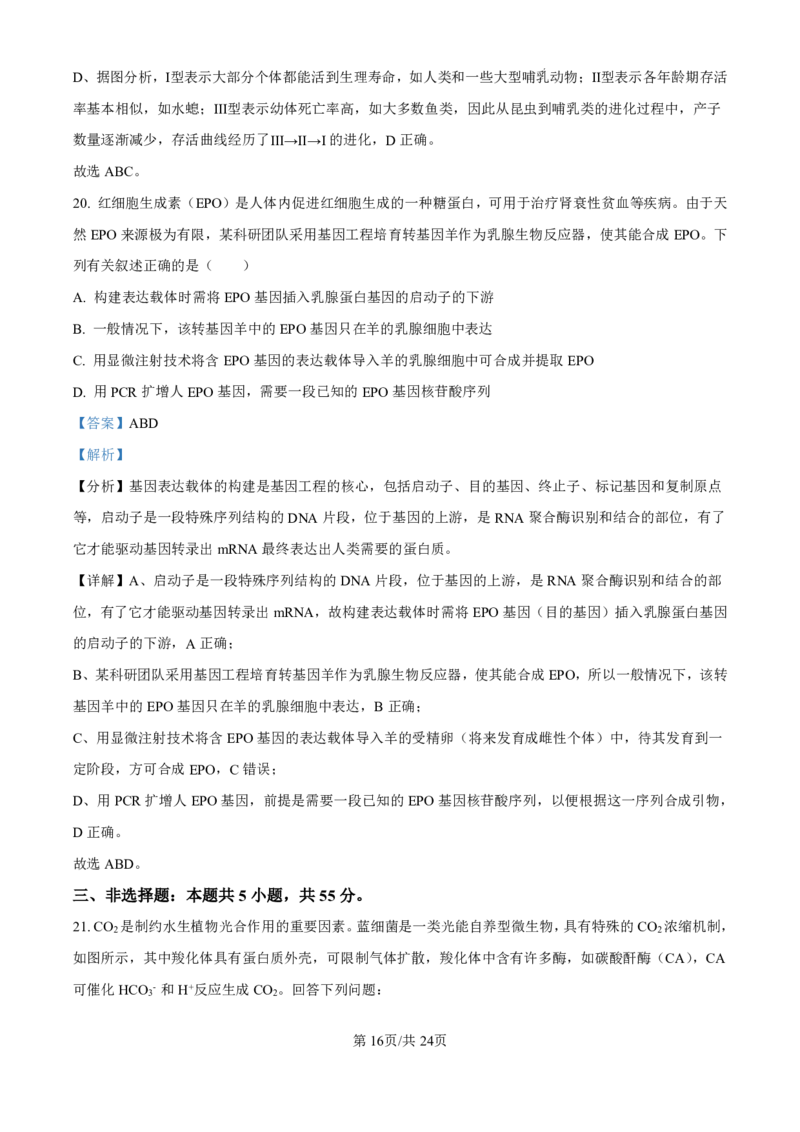 精品解析：山东省济南市第一中学2024-2025学年高三上学期10月月考生物试题（解析版）_2024-2025高三（6-6月题库）_2024年11月试卷_1101山东省济南市第一中学2024-2025学年高三上学期10月月考