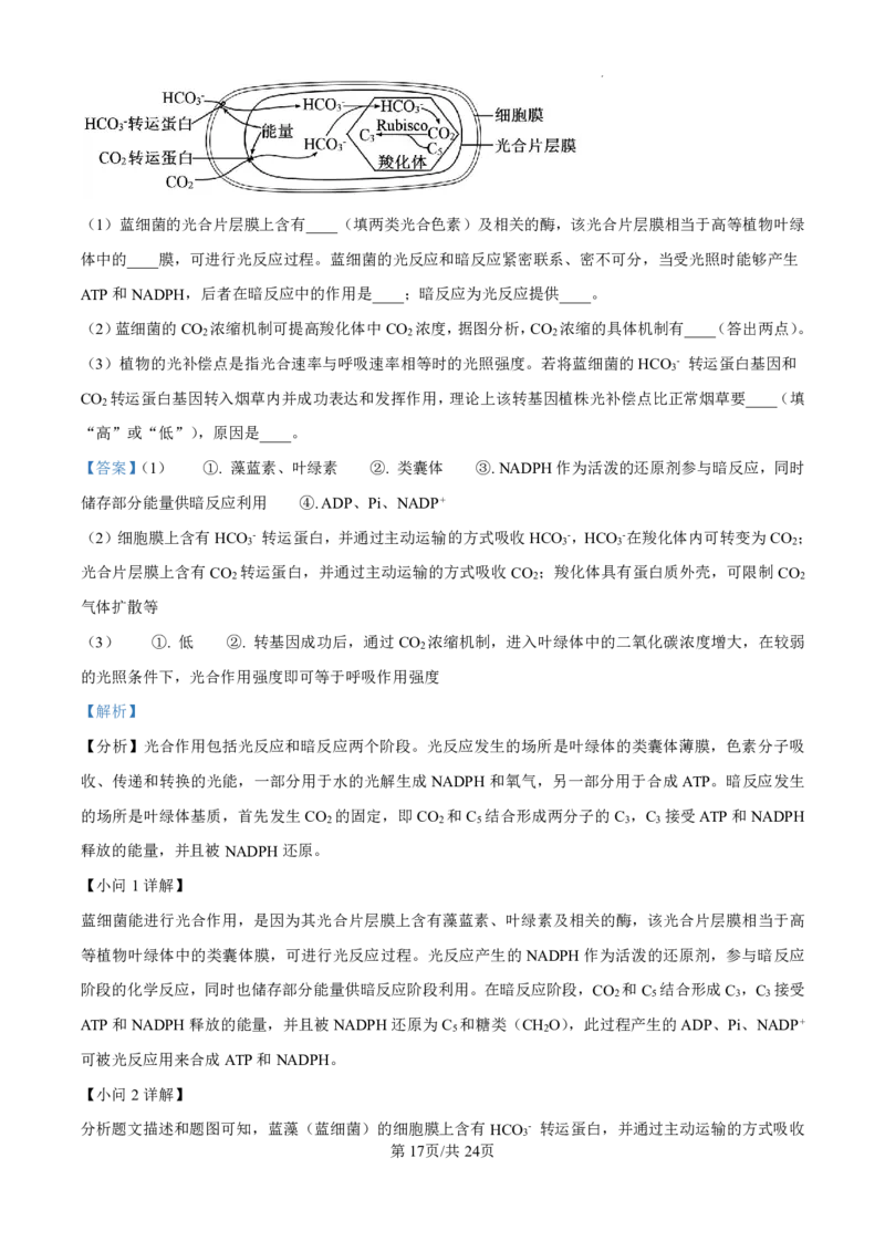 精品解析：山东省济南市第一中学2024-2025学年高三上学期10月月考生物试题（解析版）_2024-2025高三（6-6月题库）_2024年11月试卷_1101山东省济南市第一中学2024-2025学年高三上学期10月月考