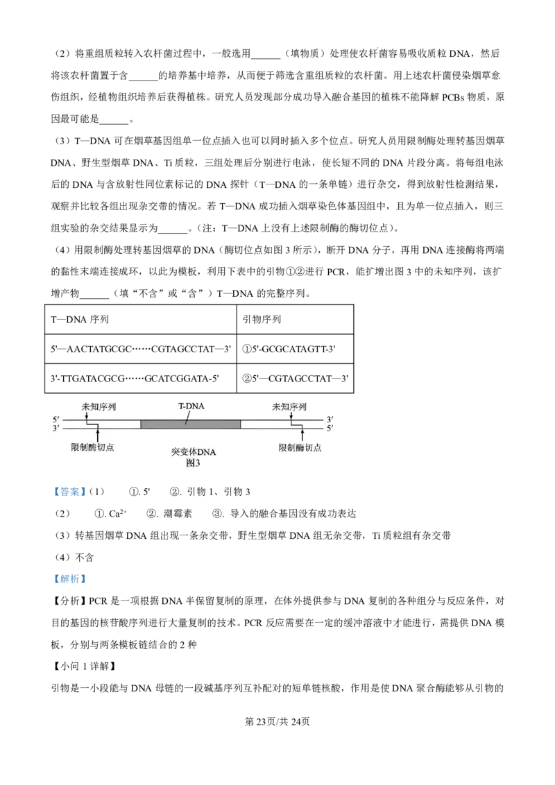 精品解析：山东省济南市第一中学2024-2025学年高三上学期10月月考生物试题（解析版）_2024-2025高三（6-6月题库）_2024年11月试卷_1101山东省济南市第一中学2024-2025学年高三上学期10月月考