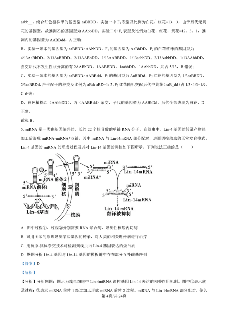 精品解析：山东省济南市第一中学2024-2025学年高三上学期10月月考生物试题（解析版）_2024-2025高三（6-6月题库）_2024年11月试卷_1101山东省济南市第一中学2024-2025学年高三上学期10月月考