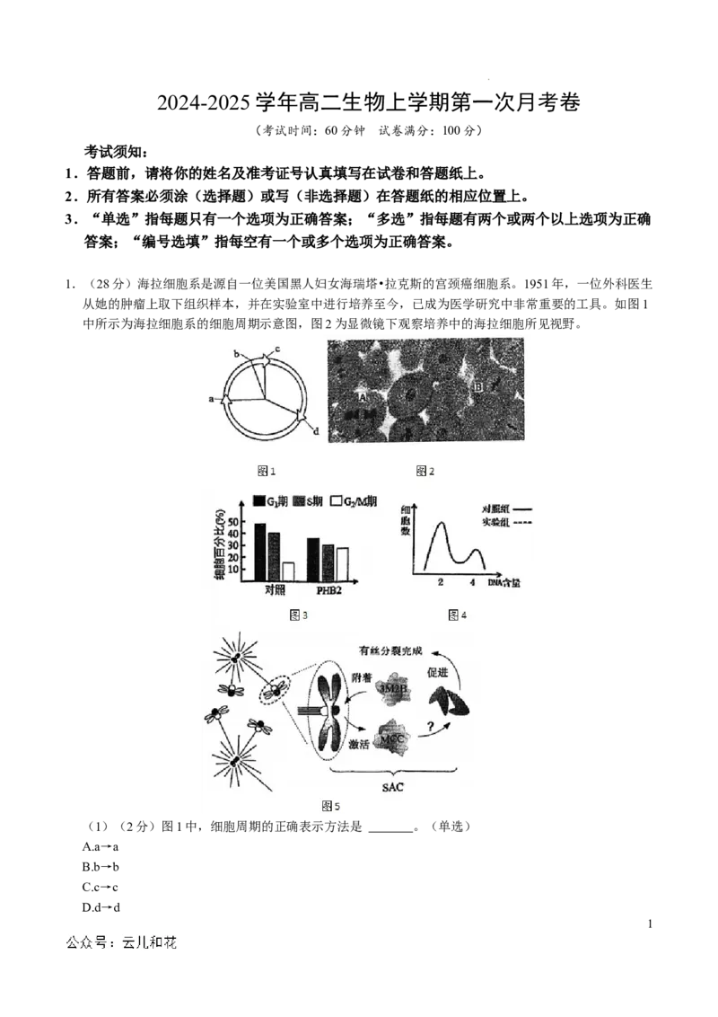 高二生物第一次月考卷（考试版A4）（上海专用）_2024-2025高二（7-7月题库）_2024年09月试卷_0922黄金卷：2024-2025学年高二上学期第一次月考9科word解析版含答题卡（上海专用）