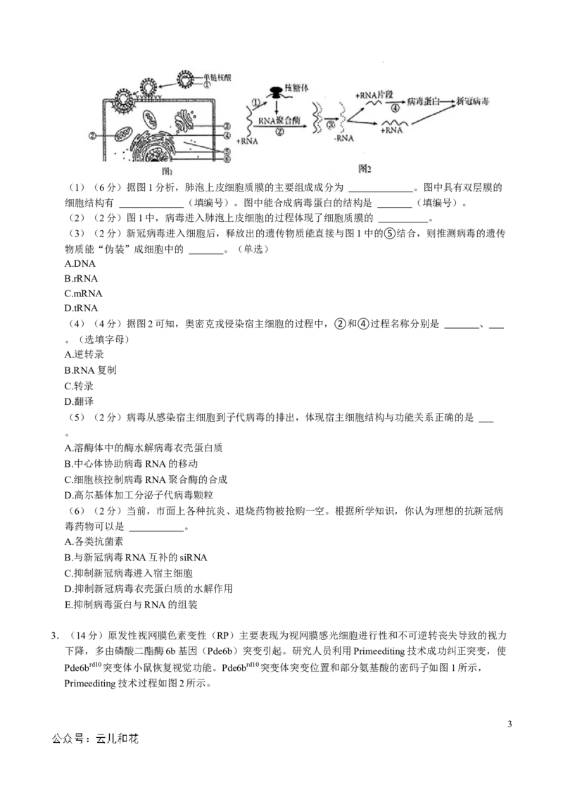 高二生物第一次月考卷（考试版A4）（上海专用）_2024-2025高二（7-7月题库）_2024年09月试卷_0922黄金卷：2024-2025学年高二上学期第一次月考9科word解析版含答题卡（上海专用）