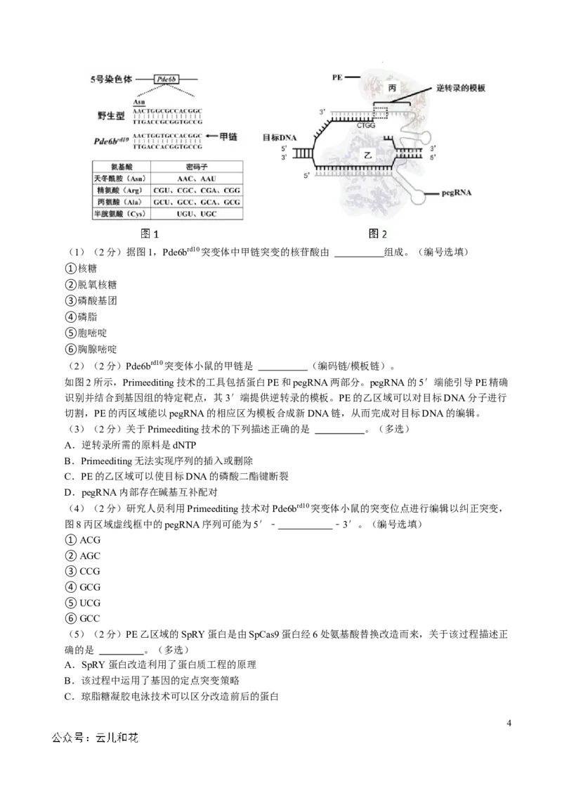 高二生物第一次月考卷（考试版A4）（上海专用）_2024-2025高二（7-7月题库）_2024年09月试卷_0922黄金卷：2024-2025学年高二上学期第一次月考9科word解析版含答题卡（上海专用）