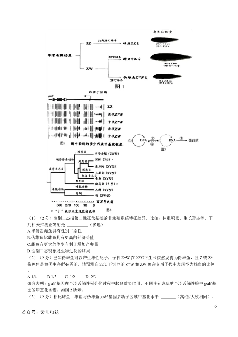高二生物第一次月考卷（考试版A4）（上海专用）_2024-2025高二（7-7月题库）_2024年09月试卷_0922黄金卷：2024-2025学年高二上学期第一次月考9科word解析版含答题卡（上海专用）
