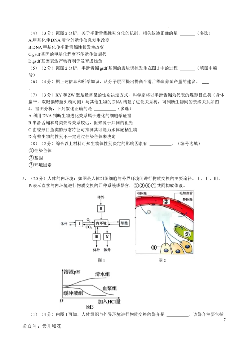 高二生物第一次月考卷（考试版A4）（上海专用）_2024-2025高二（7-7月题库）_2024年09月试卷_0922黄金卷：2024-2025学年高二上学期第一次月考9科word解析版含答题卡（上海专用）