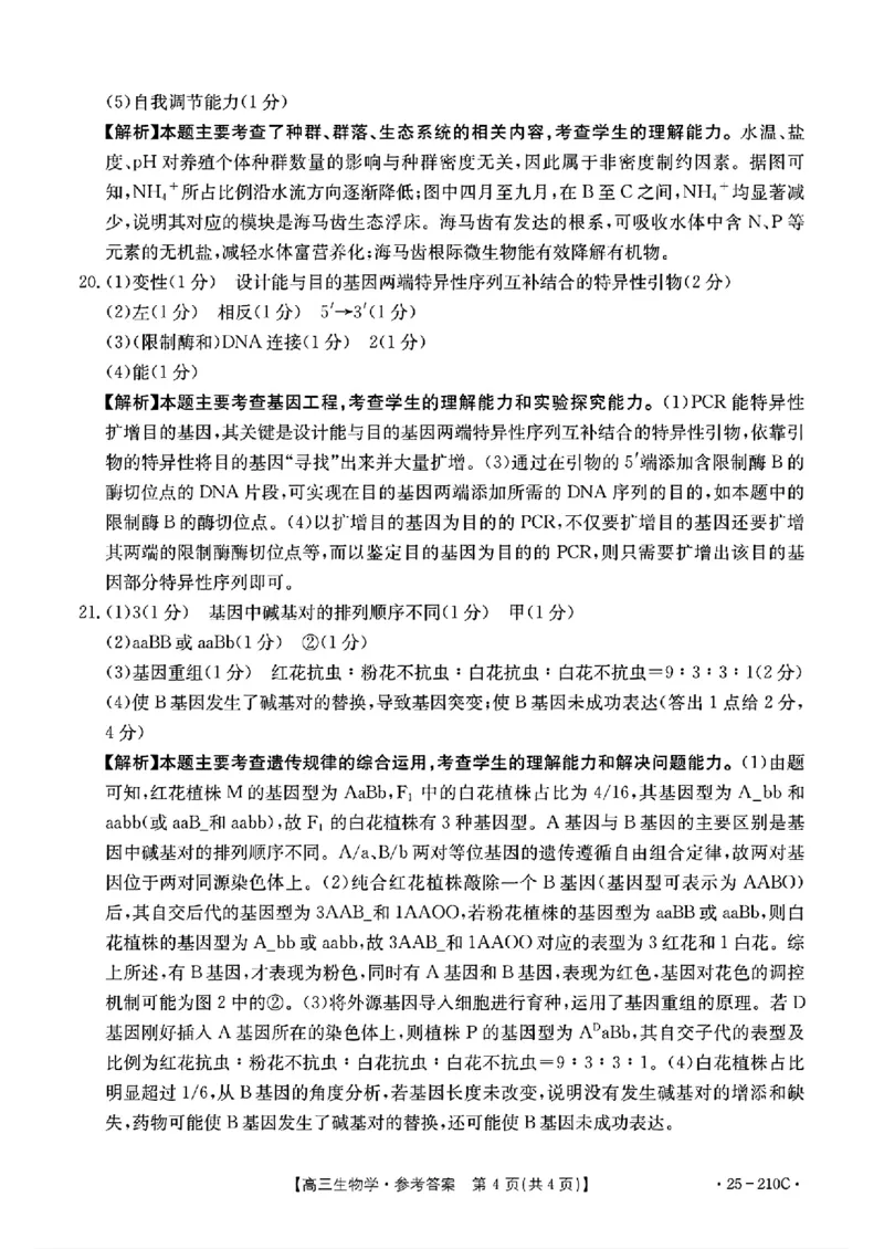 生物答案_2024-2025高三（6-6月题库）_2024年12月试卷_1213河南省新乡市2025届高三年级第一次模拟考试（金太阳25-210C）_河南省新乡市2024-2025学年高三年级第一次模拟考试生物