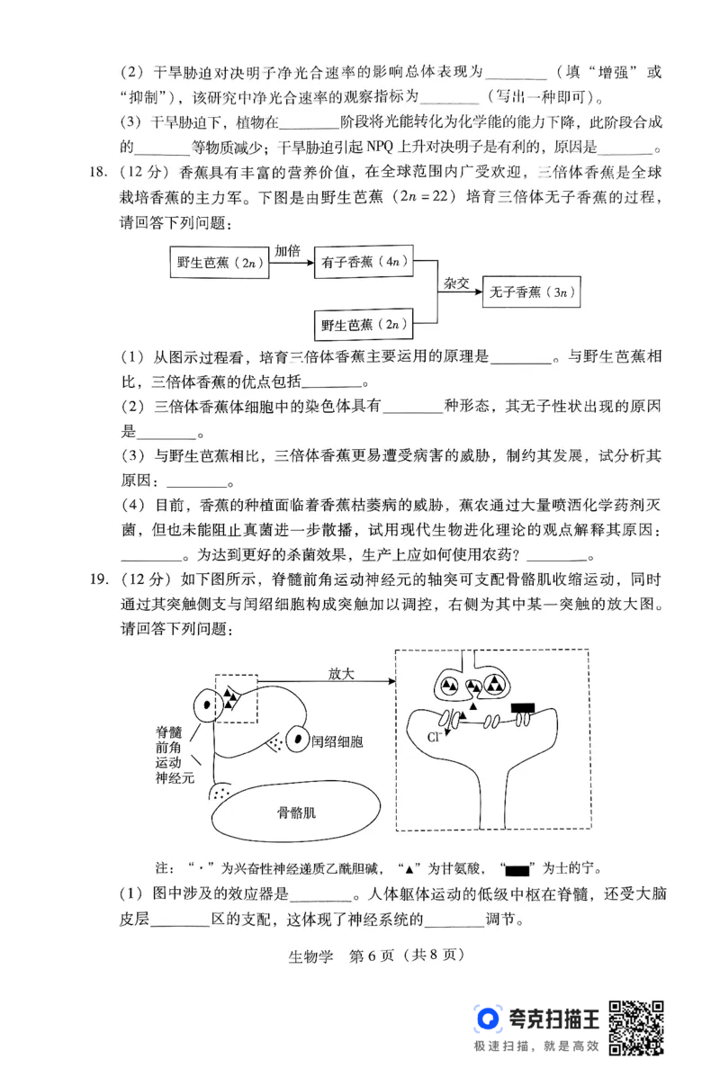 生物-广东省2025届高中毕业班第一次调研考试(广东一调）_2024-2025高三（6-6月题库）_2024年09月试卷_0901广东省2025届高中毕业班第一次调研考试(广东一调）