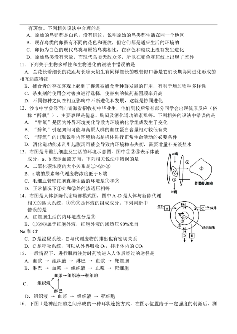 湖北省荆州市沙市中学2025-2026学年高二上学期11月期中生物试题（含答案）_251201湖北省荆州市沙市中学2025-2026学年高二上学期11月期中（全）