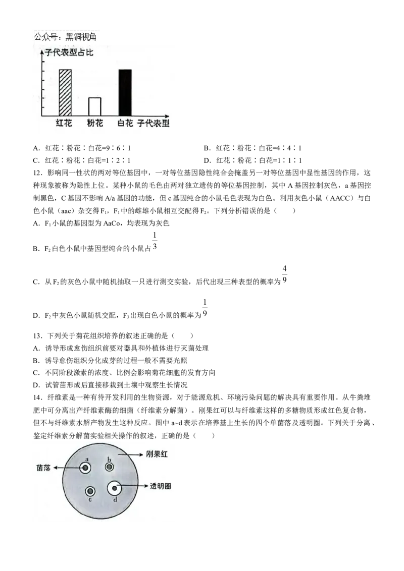 辽宁省沈阳市郊联体2024-2025学年高三上学期9月开学联考试题生物Word版含解析_2024-2025高三（6-6月题库）_2024年09月试卷_0910辽宁省沈阳市郊联体2024-2025学年高三上学期9月开学联考