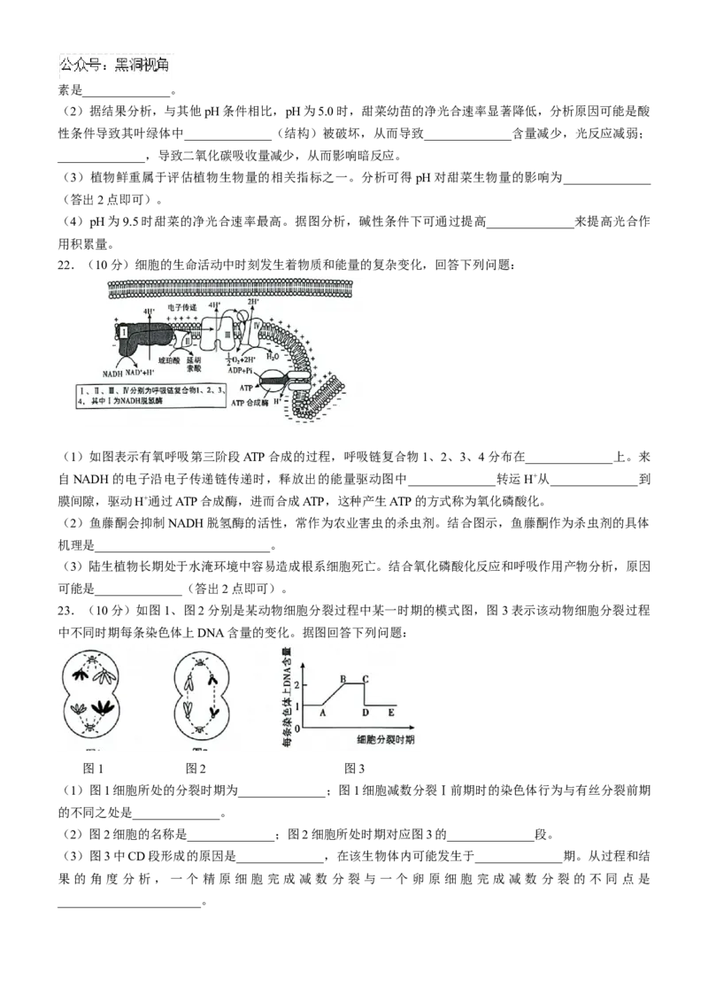 辽宁省沈阳市郊联体2024-2025学年高三上学期9月开学联考试题生物Word版含解析_2024-2025高三（6-6月题库）_2024年09月试卷_0910辽宁省沈阳市郊联体2024-2025学年高三上学期9月开学联考