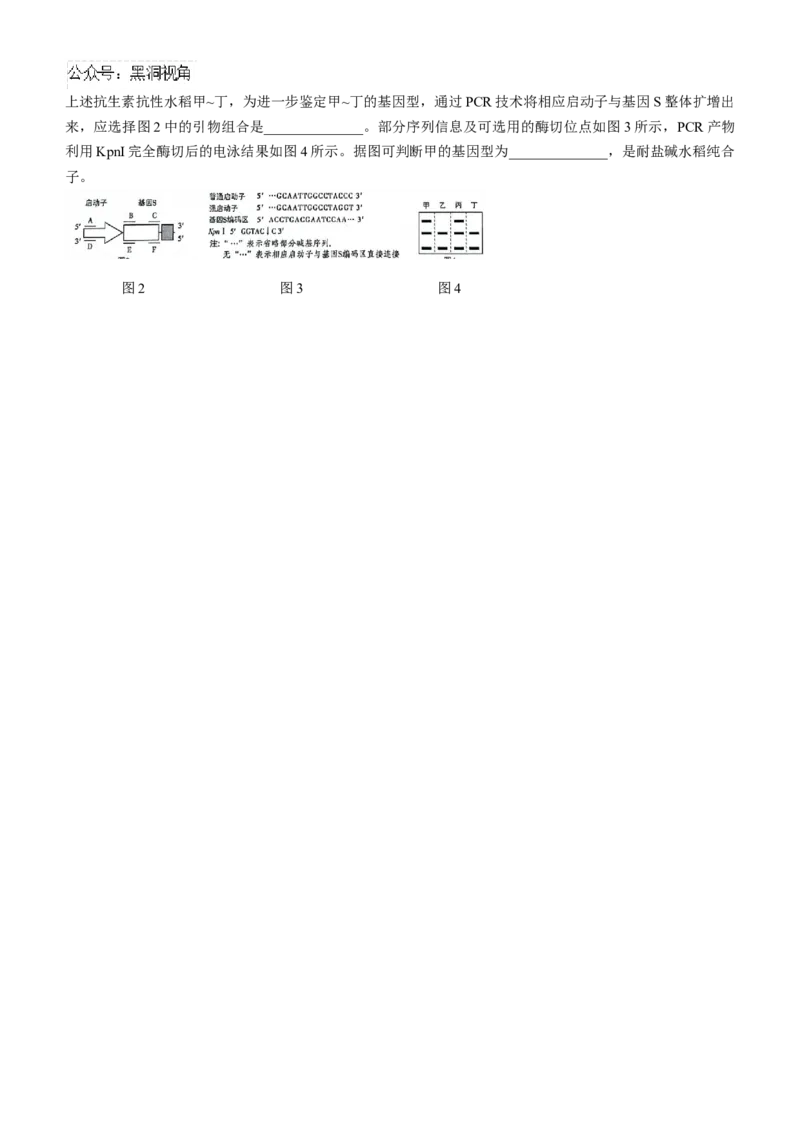 辽宁省沈阳市郊联体2024-2025学年高三上学期9月开学联考试题生物Word版含解析_2024-2025高三（6-6月题库）_2024年09月试卷_0910辽宁省沈阳市郊联体2024-2025学年高三上学期9月开学联考