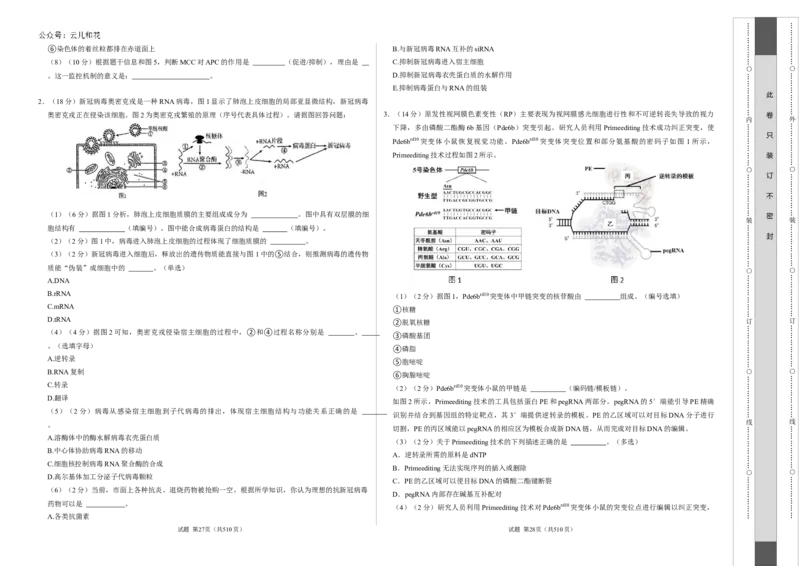 高二生物第一次月考卷（考试版A3）（上海专用）_2024-2025高二（7-7月题库）_2024年09月试卷_0922黄金卷：2024-2025学年高二上学期第一次月考9科word解析版含答题卡（上海专用）