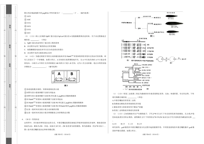 高二生物第一次月考卷（考试版A3）（上海专用）_2024-2025高二（7-7月题库）_2024年09月试卷_0922黄金卷：2024-2025学年高二上学期第一次月考9科word解析版含答题卡（上海专用）
