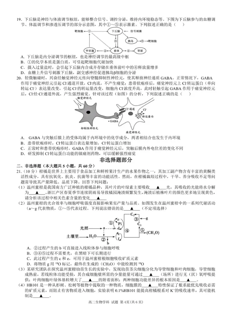 高二生物试题_251209浙江省环大罗山联盟2025-2026学年高二上学期11月期中（全）_浙江省环大罗山联盟2025-2026学年高二上学期11月期中生物试题（图片版，含答案）