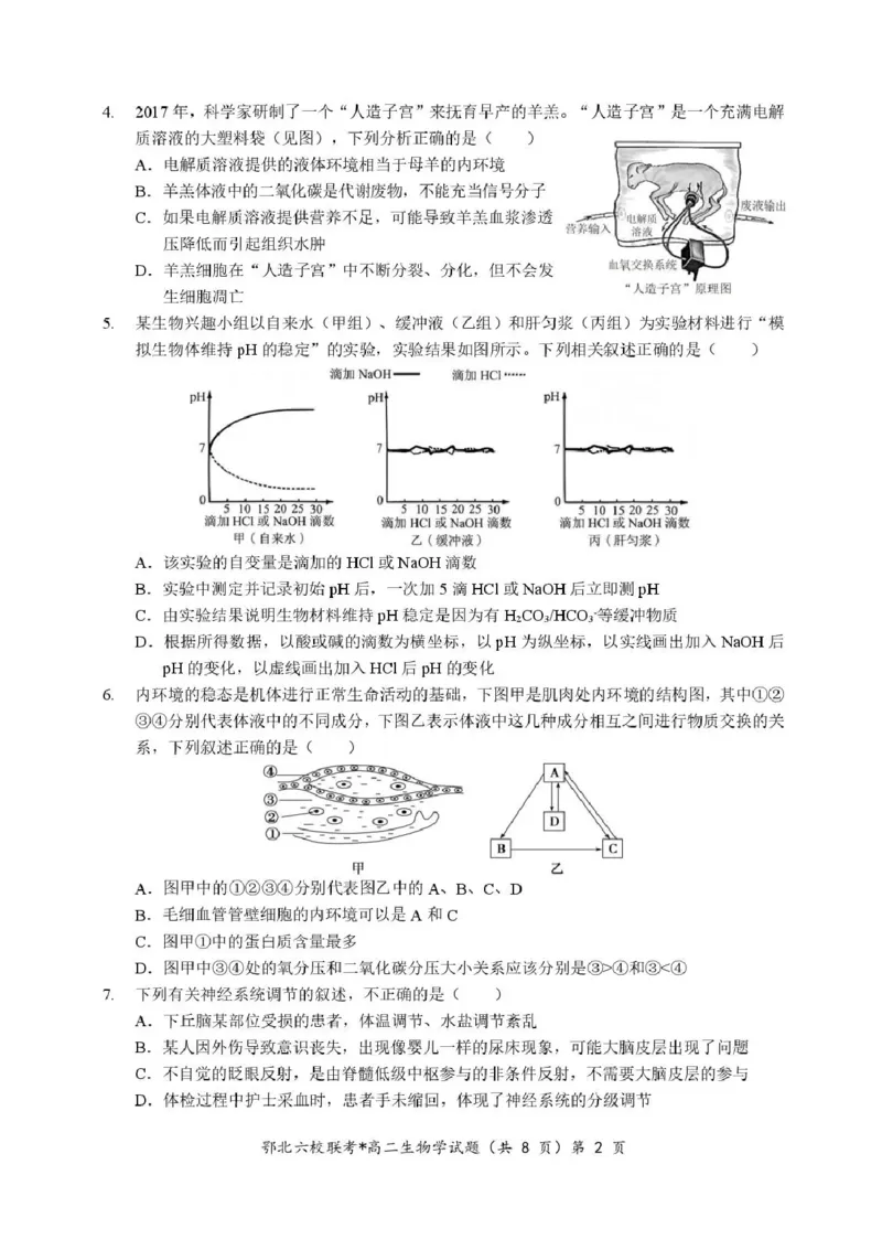 湖北省宜城一中、枣阳一中等鄂北六校2025-2026学年高二上学期期中考试生物试题含答案_2025年11月高二试卷_251118湖北省鄂北六校2025-2026学年高二11月期中联考