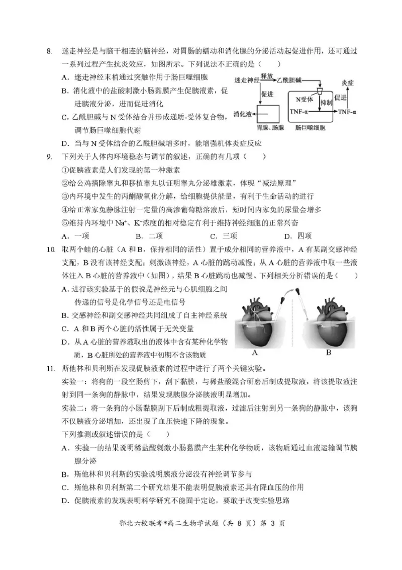 湖北省宜城一中、枣阳一中等鄂北六校2025-2026学年高二上学期期中考试生物试题含答案_2025年11月高二试卷_251118湖北省鄂北六校2025-2026学年高二11月期中联考