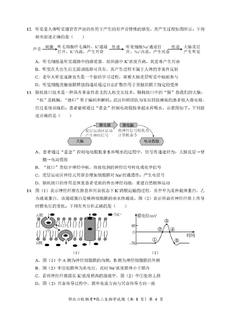 湖北省宜城一中、枣阳一中等鄂北六校2025-2026学年高二上学期期中考试生物试题含答案_2025年11月高二试卷_251118湖北省鄂北六校2025-2026学年高二11月期中联考