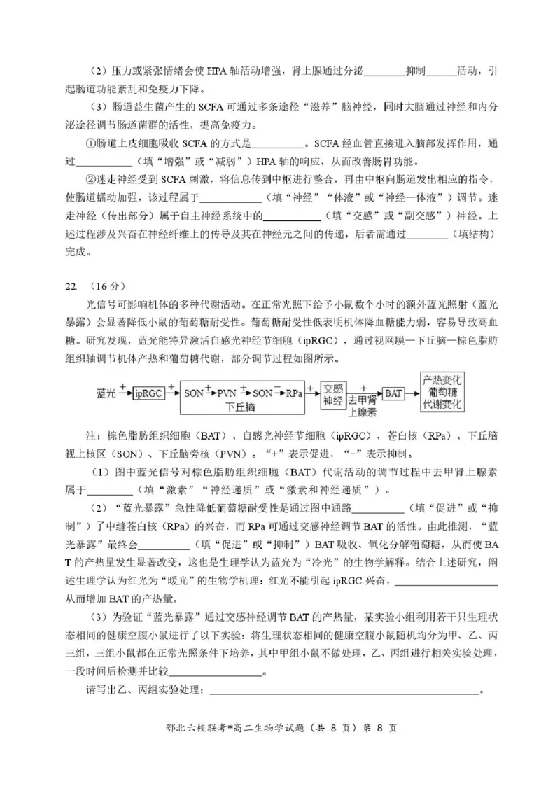 湖北省宜城一中、枣阳一中等鄂北六校2025-2026学年高二上学期期中考试生物试题含答案_2025年11月高二试卷_251118湖北省鄂北六校2025-2026学年高二11月期中联考