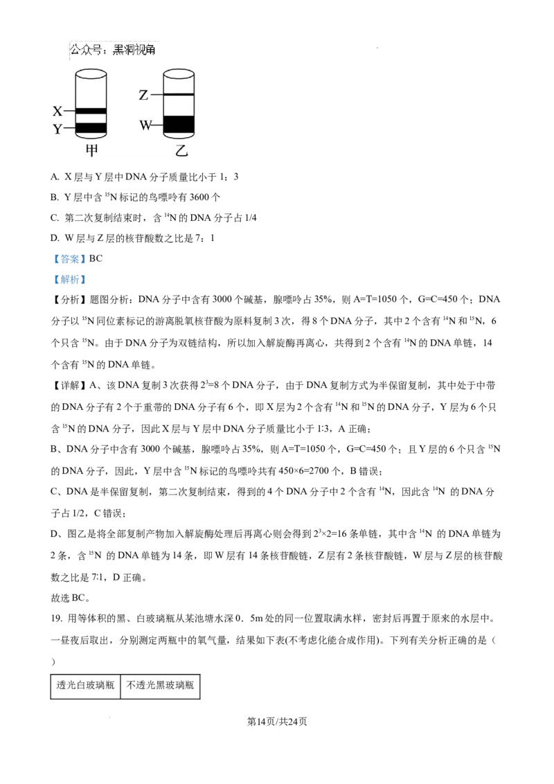 辽宁省大连市滨城高中联盟2024-2025学年高三上学期期中考试生物答案_2024-2025高三（6-6月题库）_2024年10月试卷_1023辽宁省大连市滨城高中联盟2024-2025学年高三上学期期中考试