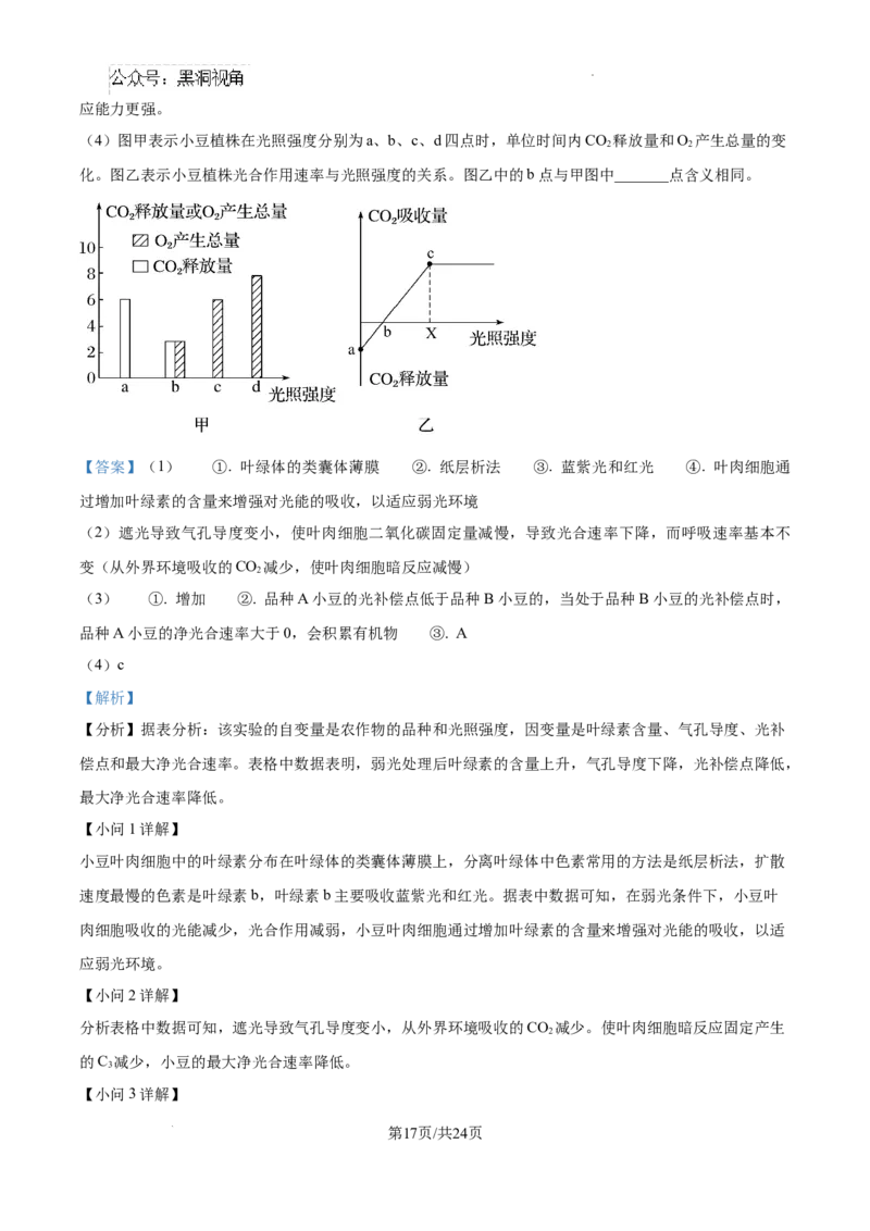 辽宁省大连市滨城高中联盟2024-2025学年高三上学期期中考试生物答案_2024-2025高三（6-6月题库）_2024年10月试卷_1023辽宁省大连市滨城高中联盟2024-2025学年高三上学期期中考试