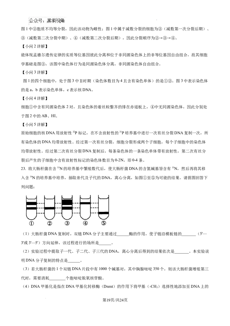 辽宁省大连市滨城高中联盟2024-2025学年高三上学期期中考试生物答案_2024-2025高三（6-6月题库）_2024年10月试卷_1023辽宁省大连市滨城高中联盟2024-2025学年高三上学期期中考试