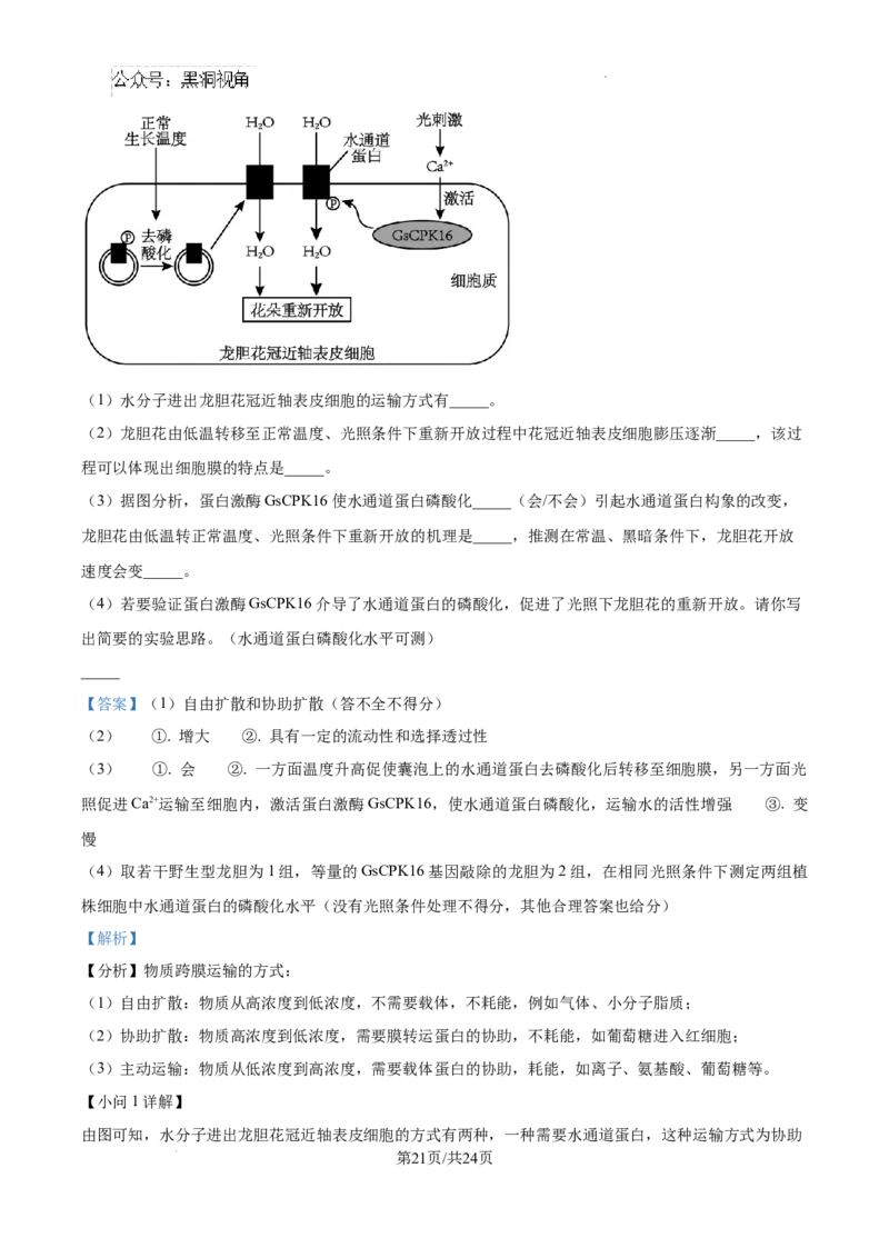 辽宁省大连市滨城高中联盟2024-2025学年高三上学期期中考试生物答案_2024-2025高三（6-6月题库）_2024年10月试卷_1023辽宁省大连市滨城高中联盟2024-2025学年高三上学期期中考试