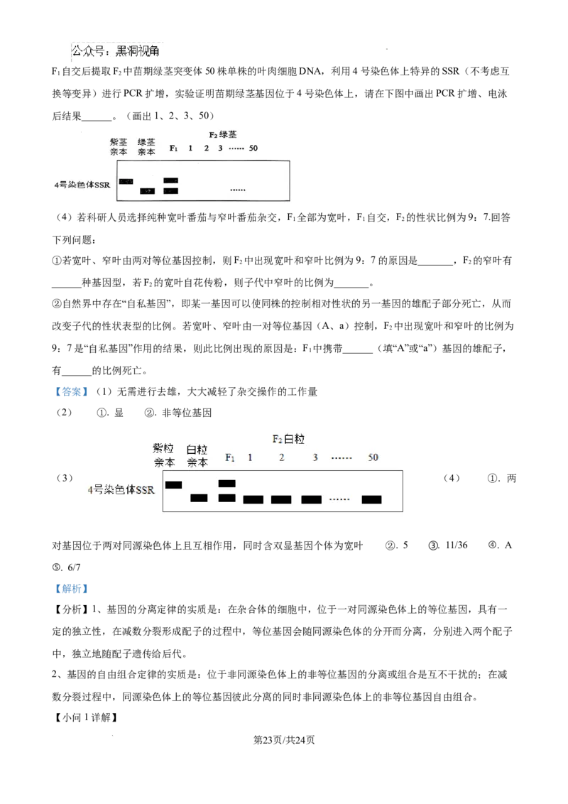 辽宁省大连市滨城高中联盟2024-2025学年高三上学期期中考试生物答案_2024-2025高三（6-6月题库）_2024年10月试卷_1023辽宁省大连市滨城高中联盟2024-2025学年高三上学期期中考试