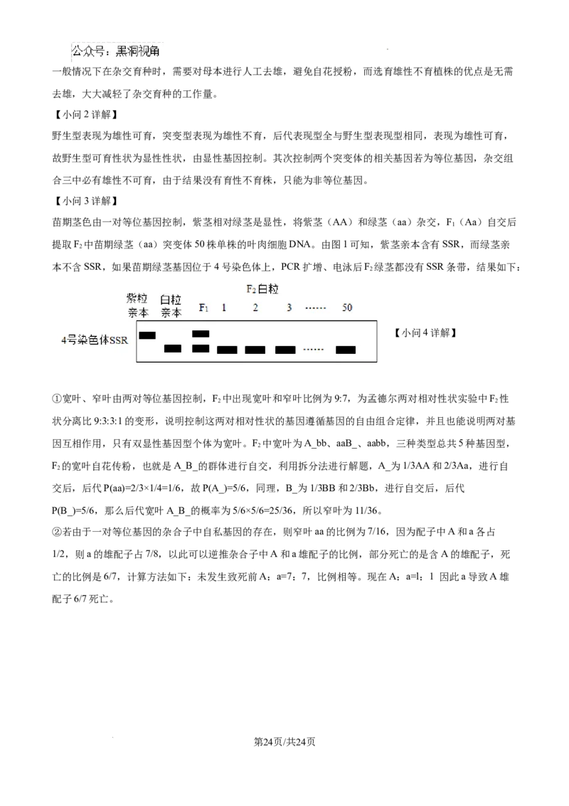 辽宁省大连市滨城高中联盟2024-2025学年高三上学期期中考试生物答案_2024-2025高三（6-6月题库）_2024年10月试卷_1023辽宁省大连市滨城高中联盟2024-2025学年高三上学期期中考试