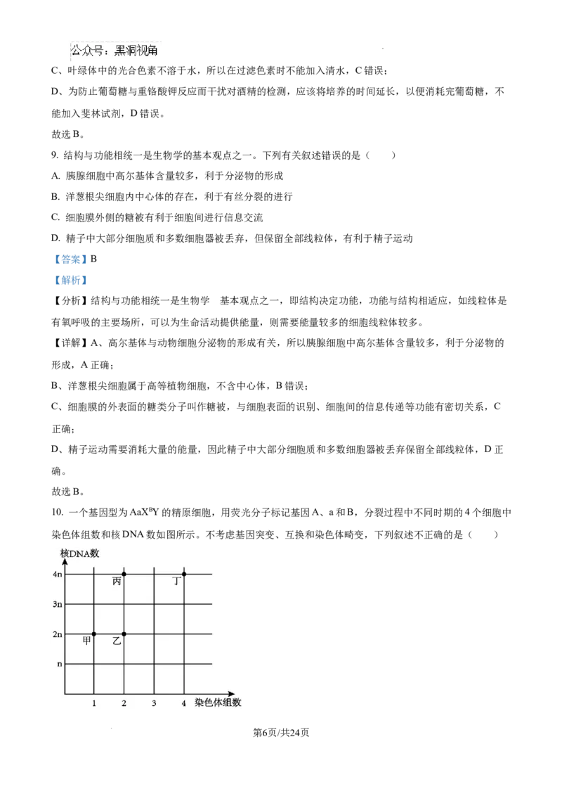 辽宁省大连市滨城高中联盟2024-2025学年高三上学期期中考试生物答案_2024-2025高三（6-6月题库）_2024年10月试卷_1023辽宁省大连市滨城高中联盟2024-2025学年高三上学期期中考试