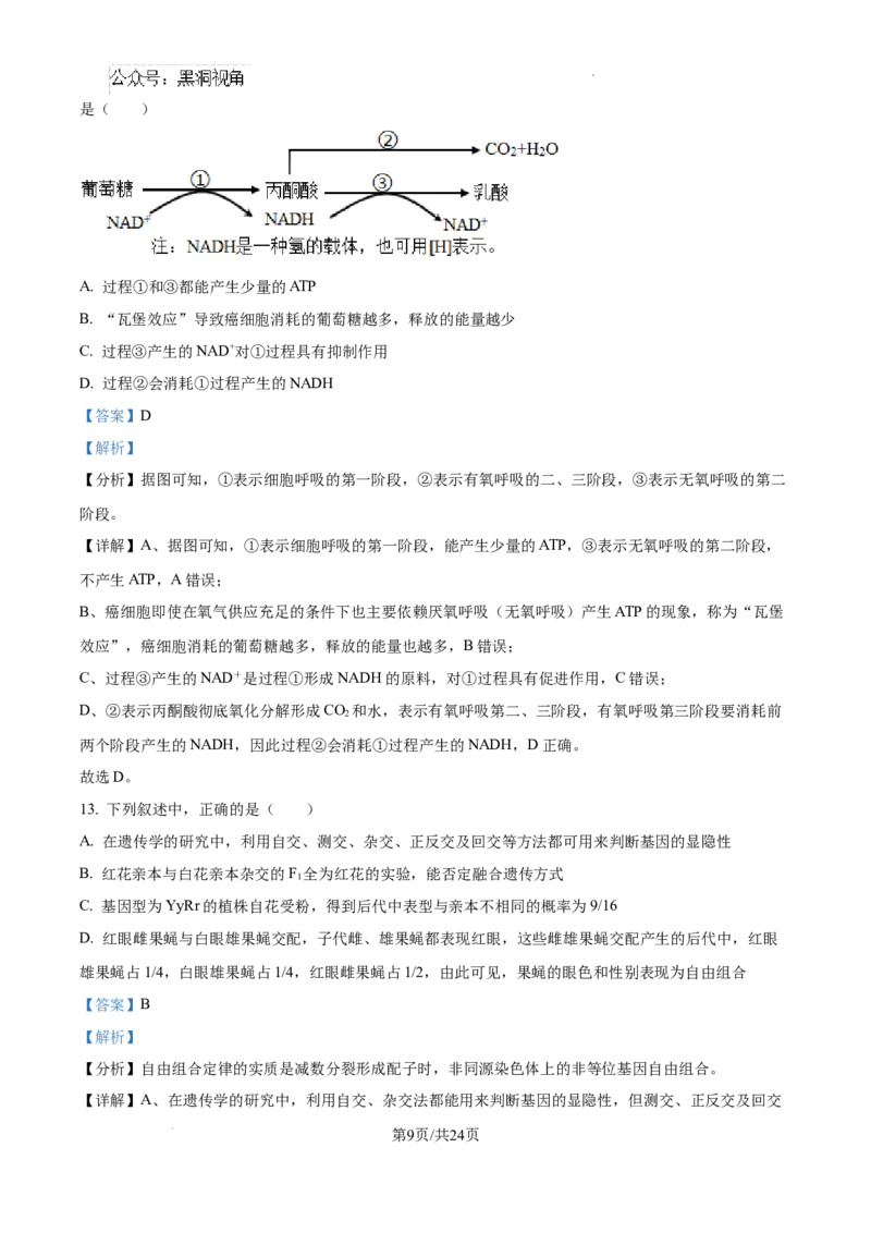 辽宁省大连市滨城高中联盟2024-2025学年高三上学期期中考试生物答案_2024-2025高三（6-6月题库）_2024年10月试卷_1023辽宁省大连市滨城高中联盟2024-2025学年高三上学期期中考试